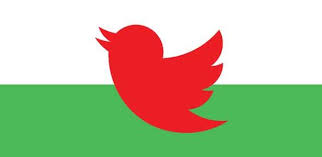 Welsh Twitter Flag